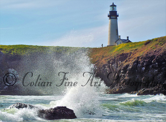 Yaquina lh & water-0387 (2)