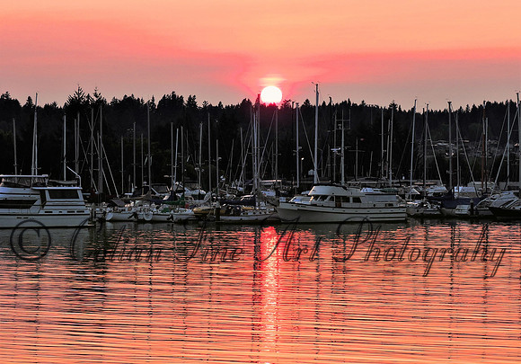 oly sunset-2037 (2)