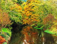 Fall water colors fx280058