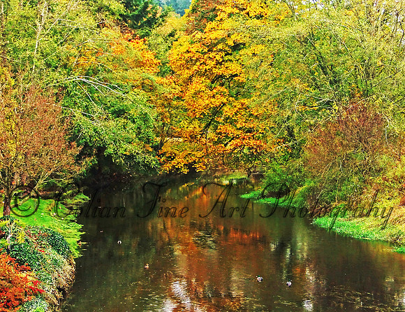 Fall water colors fx280058