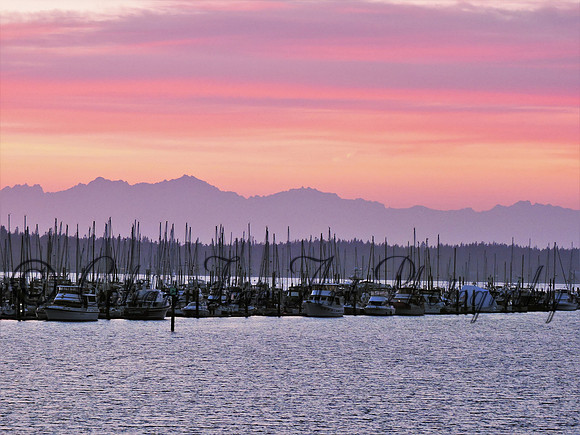 Oly harbor & olympics-1630 (2)