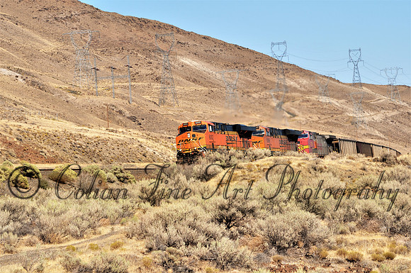 Columiba Gorge train_0004 (2)