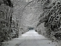 Frozen path-DSCF1525 (2)