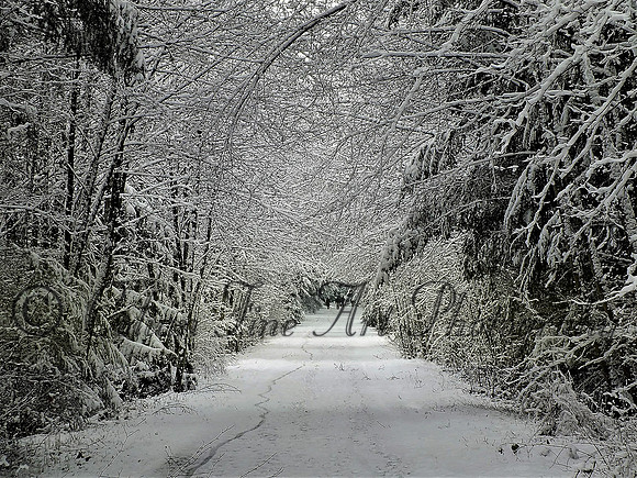 Frozen path-DSCF1525 (2)