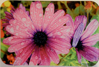 Purple flower-rain drops cutting board_0063